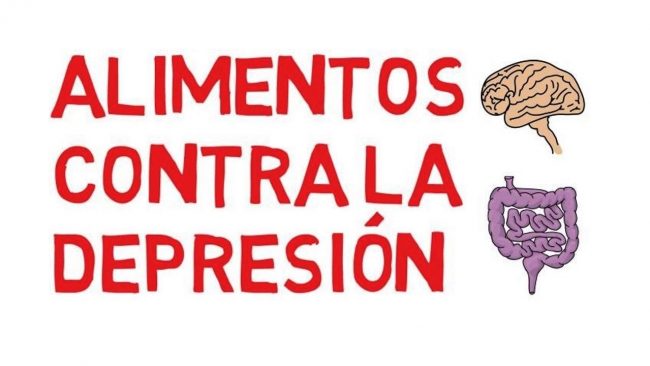 alimentos 1